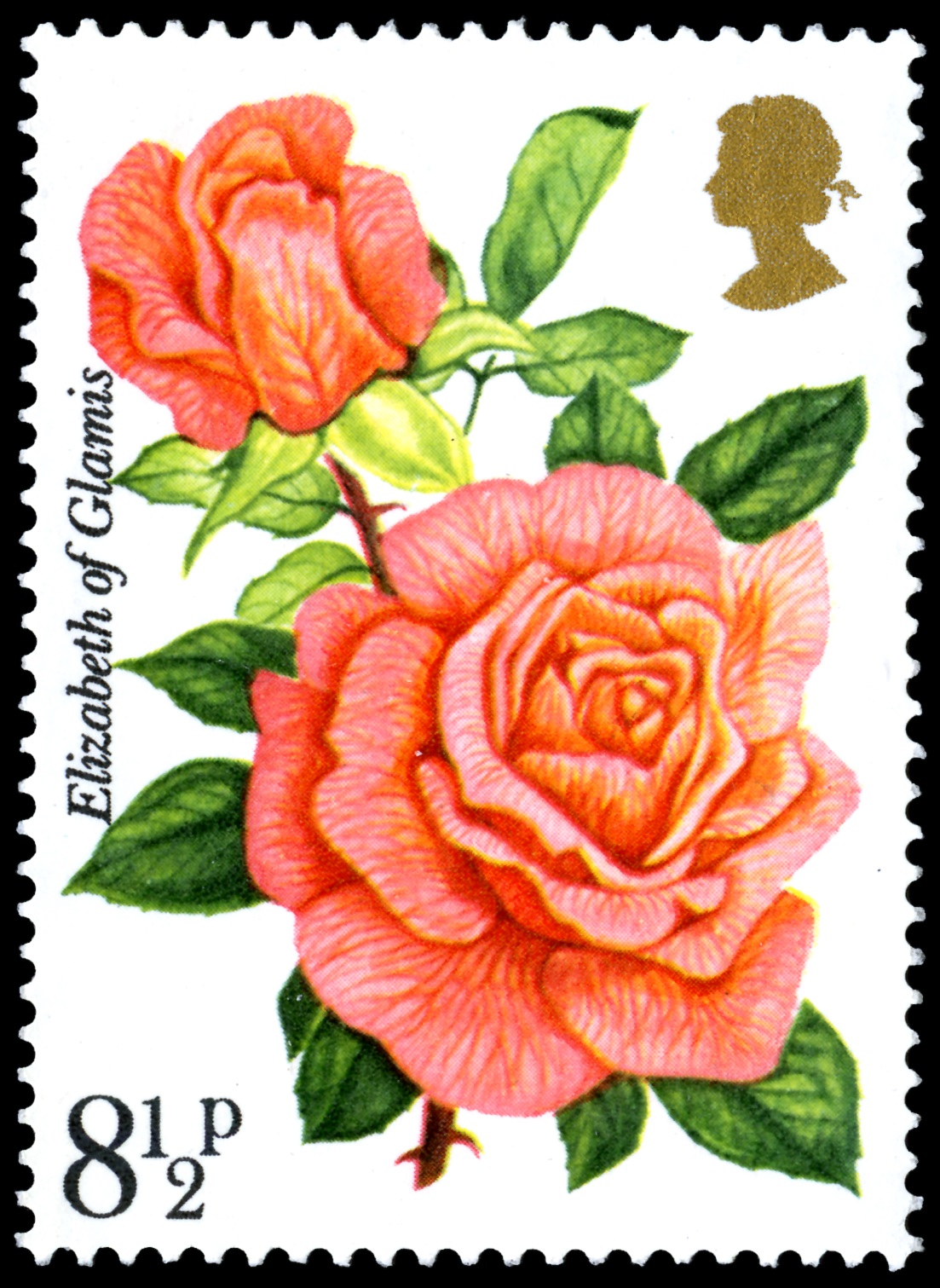 Red rose stamp with a value of 8 and a half pence.
