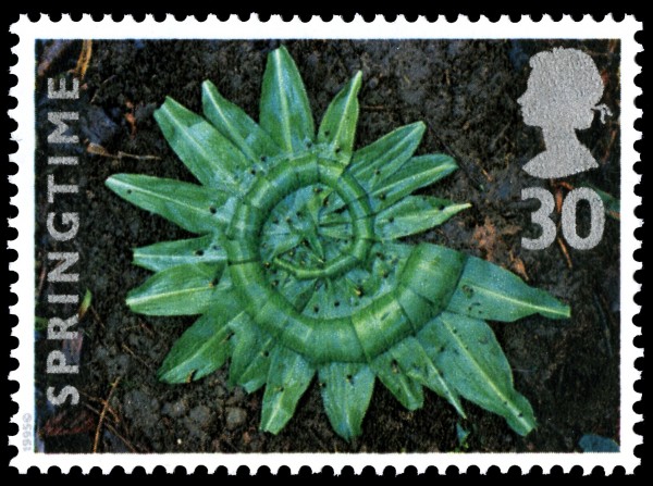 Garlic leaf sculpture arranged in a spiral on earth.