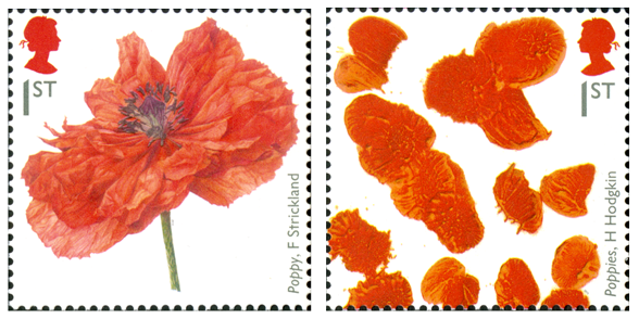 Two stamps depicting poppies by artists F. Strickland and H. Hodgkin.