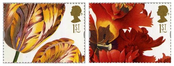 Two images of different types of Tulips from the 1997 greetings stamp issue.