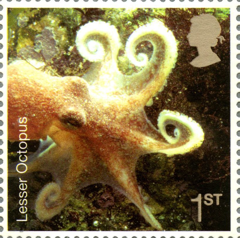 Stamp depicting a photo of a octopus underwater.