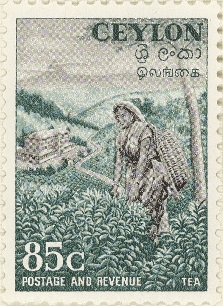 Stamp depicting a female tea picker on a plantation.