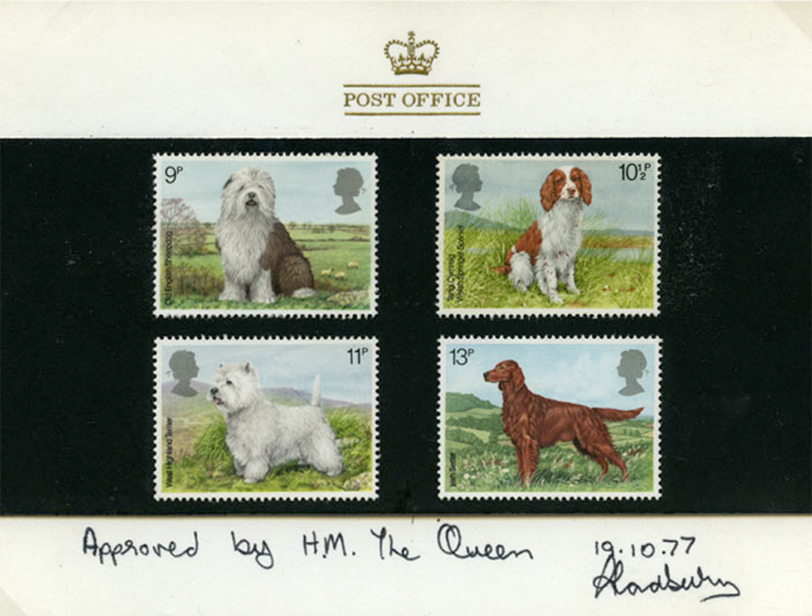 There are 4 images of different dog breeds here. Two of the dogs sit, facing the front, and two stand proudly to the side. The White Westie has its tongue out. Two of the dogs are white and brown in colour and the other is brown all over. All dogs sit in front of a countryside backdrop. 