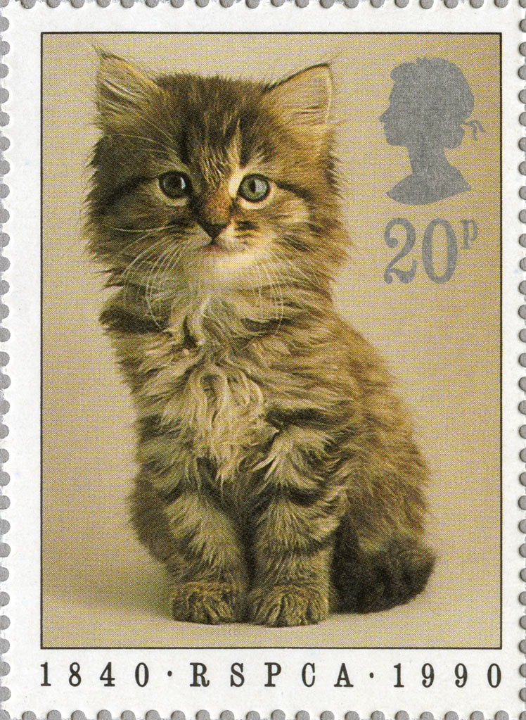 Stamp depicting a small brown kitten.