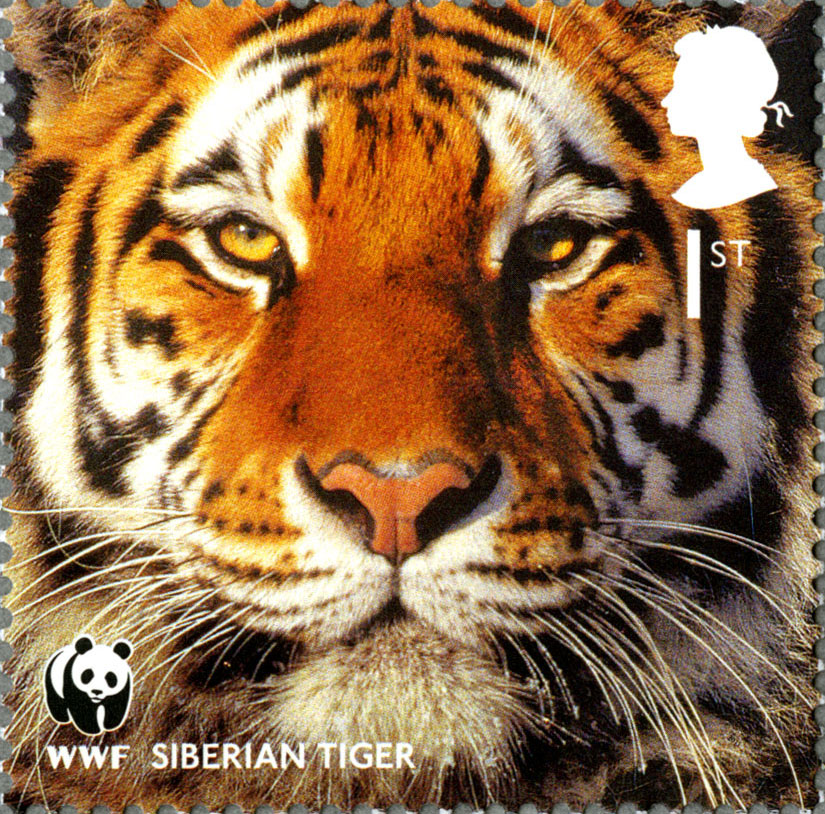 Stamp depicting the face of a Siberian Tiger.