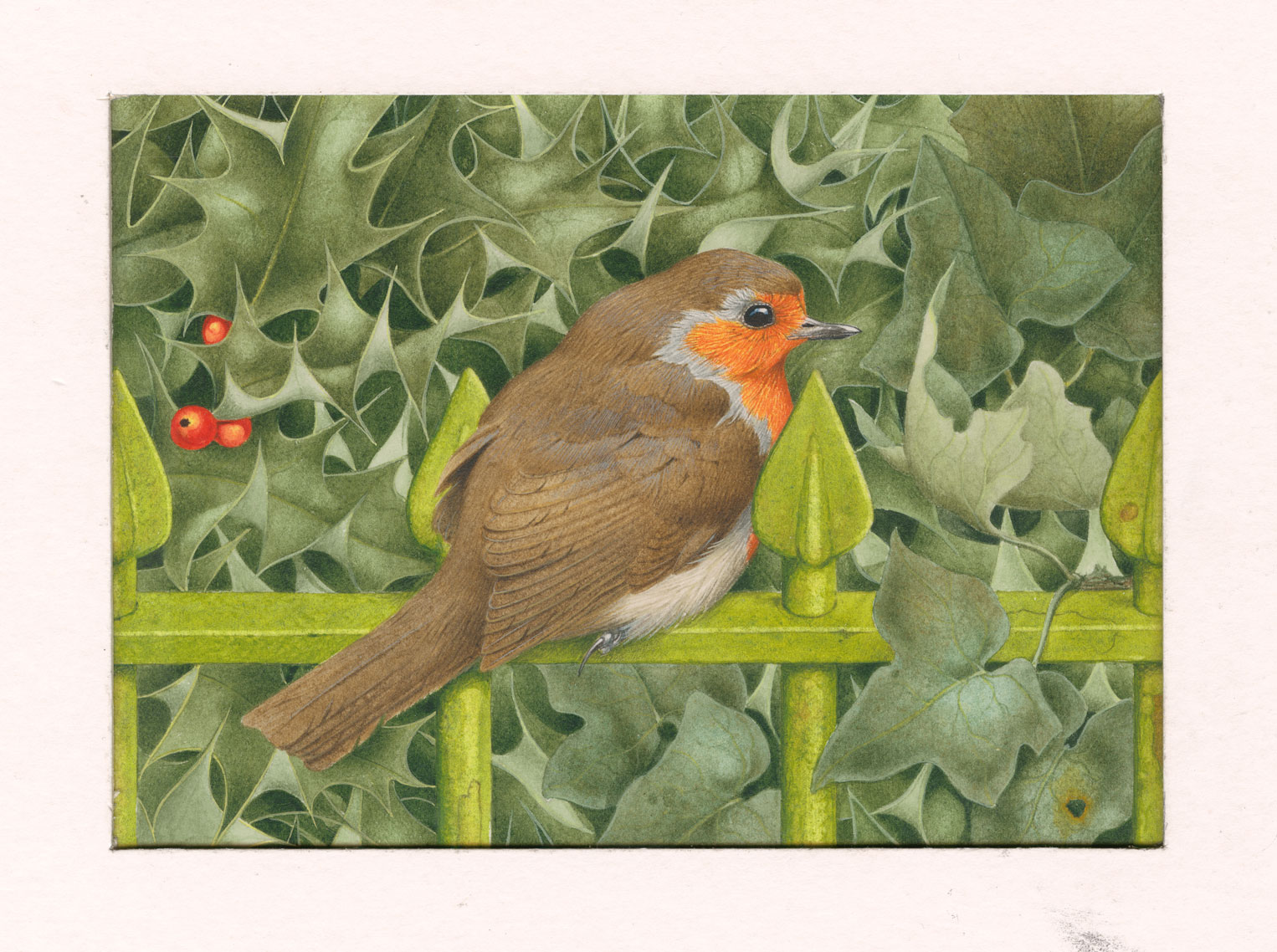 A painting of a robin sat on a fence against a bush of ivy.