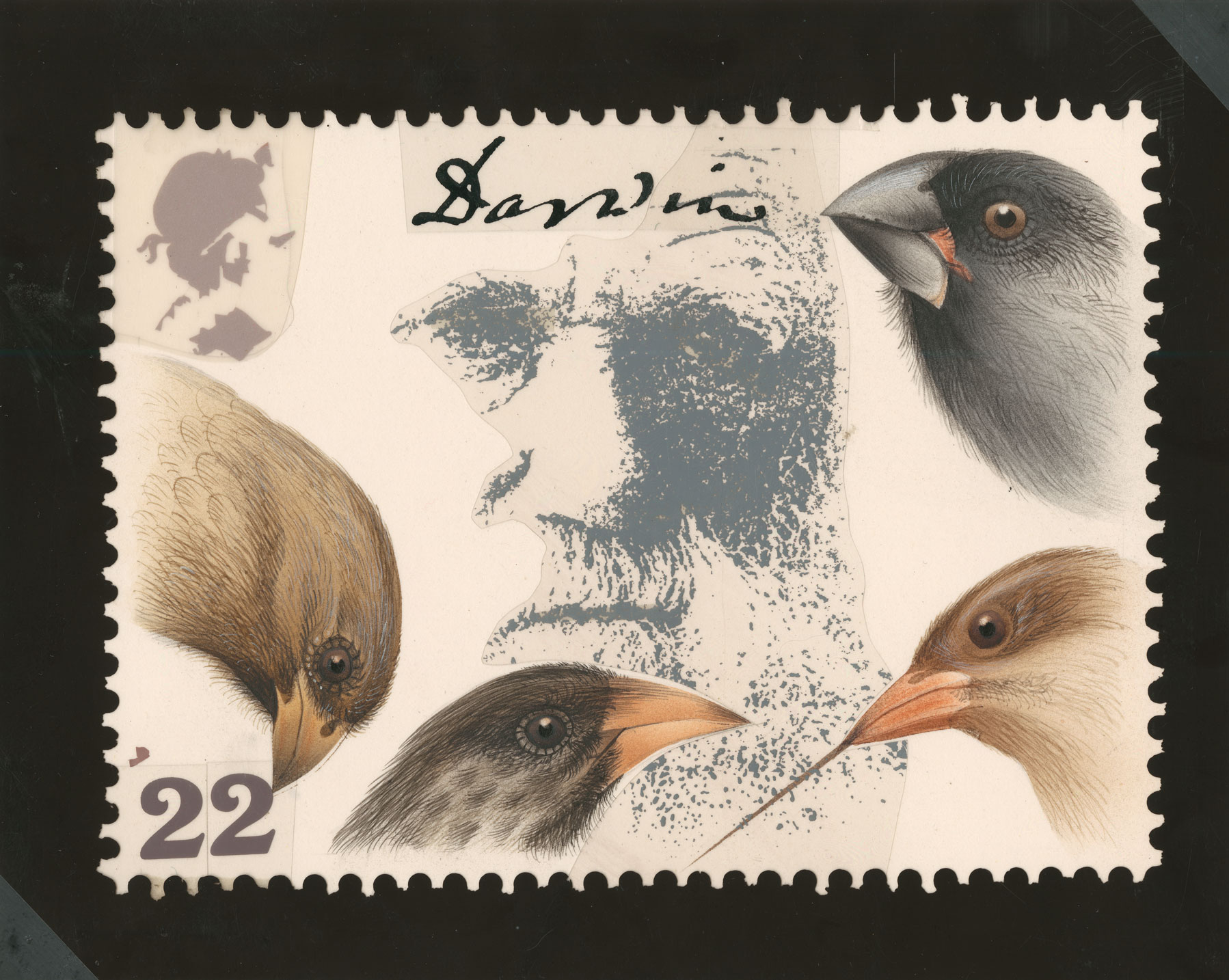 Painting of different finch beaks with an image of Darwin and his signature.
