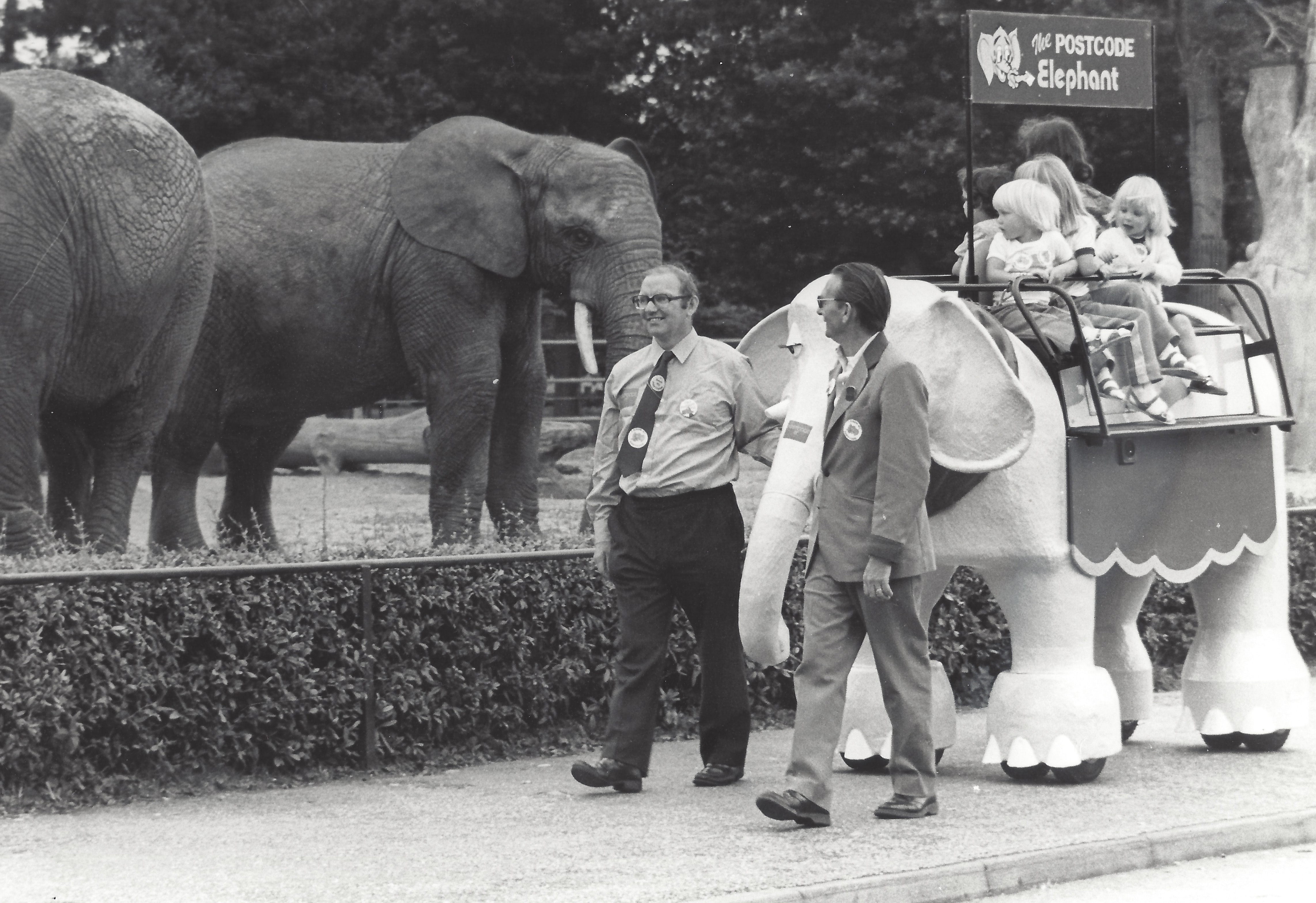 Poco goes to Whipsnade Zoo in 1981
