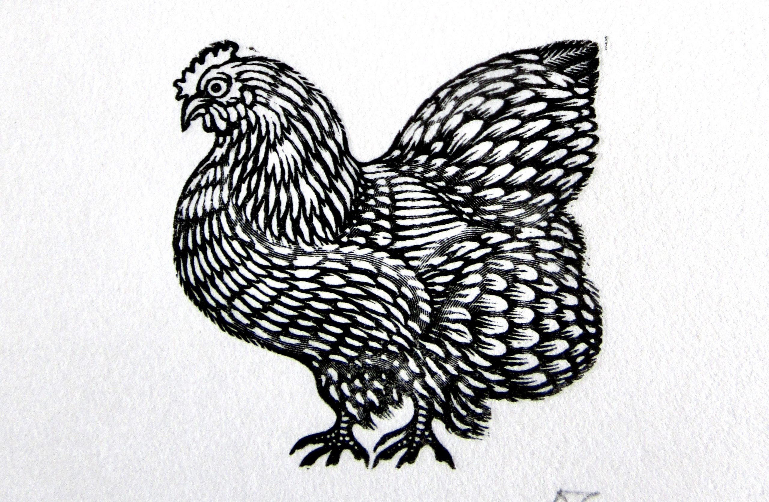 French Hen Wood Engraving Pull