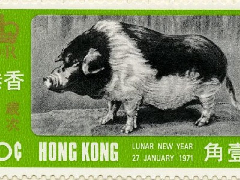 A green stamp with black and white photograph of a large spotted pig framed by the stamp value, issue date and the Royal Cypher with text in English and Chinese characters.