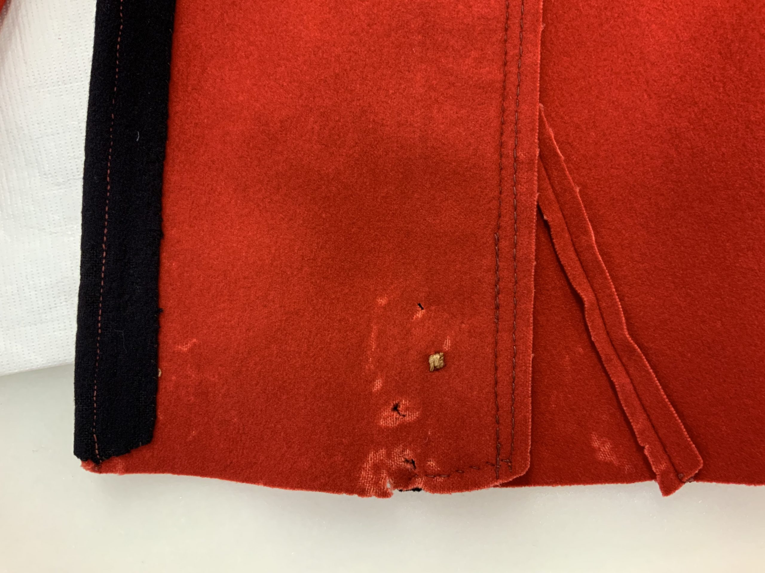 Close up showing the moth damage, presenting little holes.